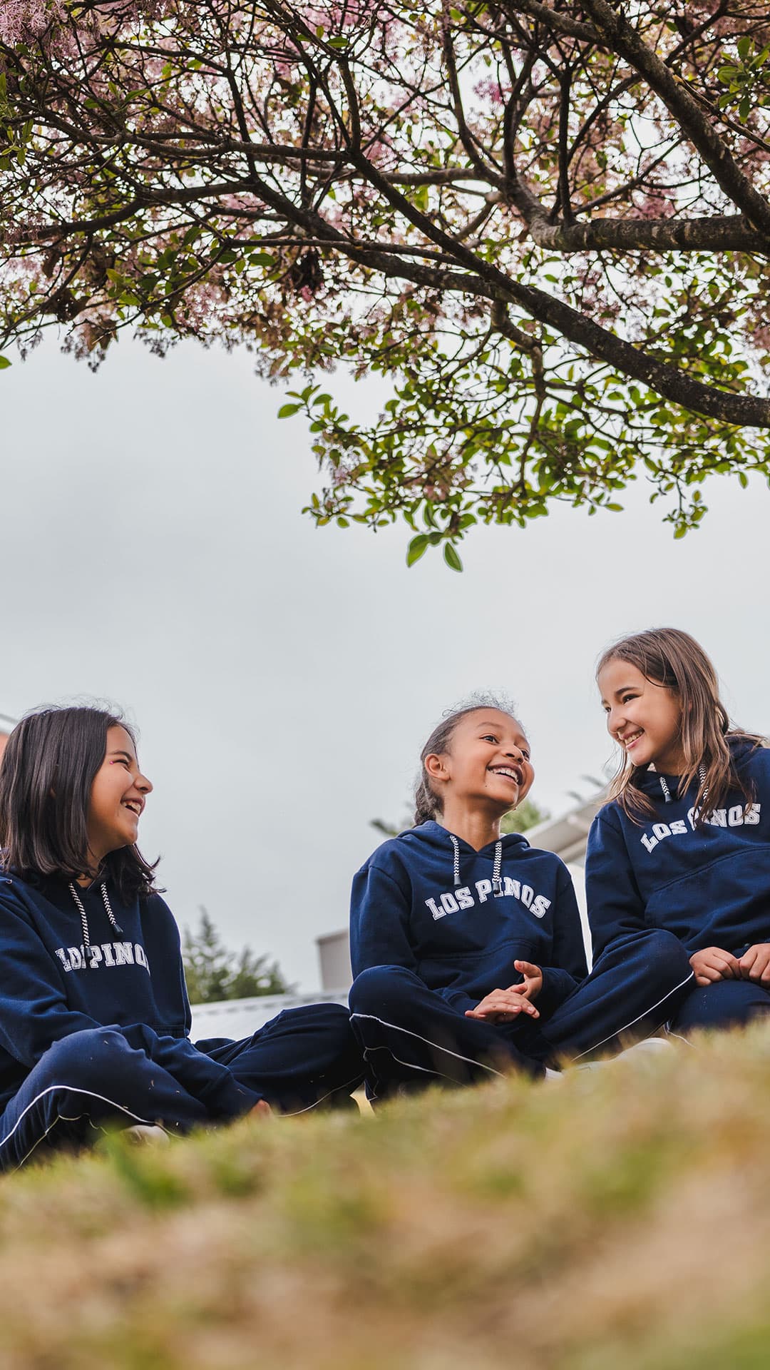 Estudiantes utilizando tecnología y herramientas digitales