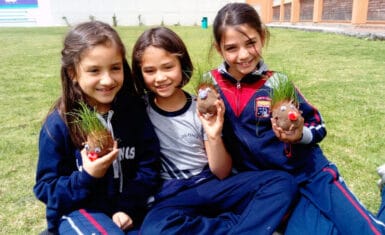 Plant Growth Process. Our girls planted seeds to see how plants grow