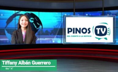 Pinos TV